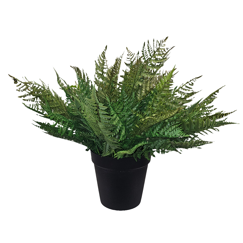 PM10379 POTTED FOREST FERN,29"