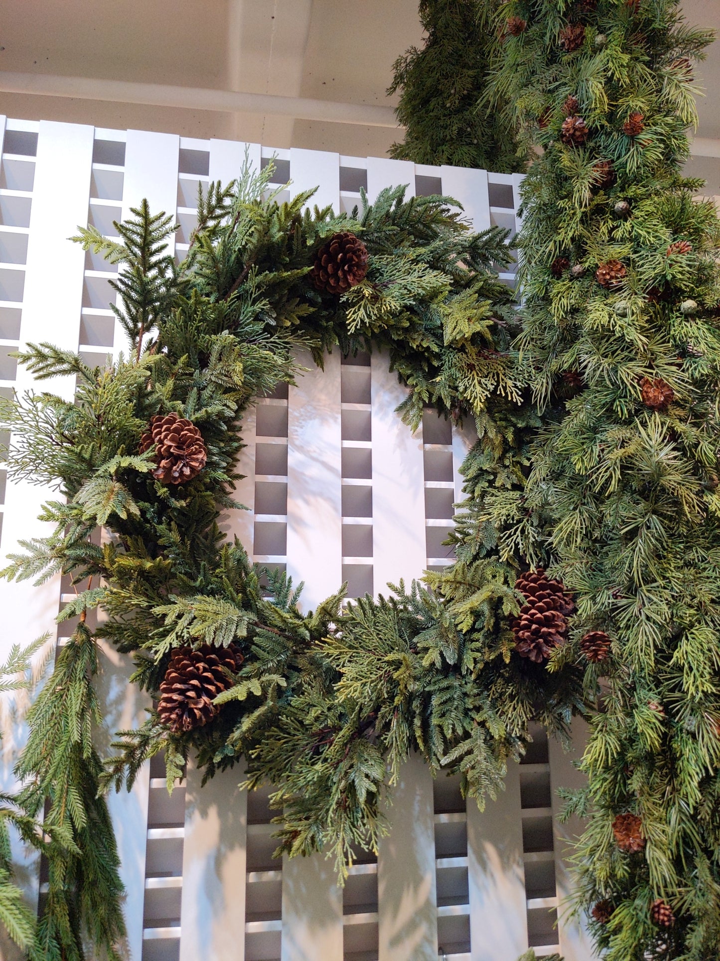 GW2119 NORFOLK/CEDAR/PINECONE WREATH