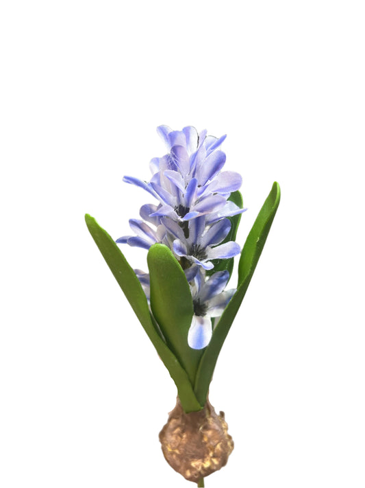 FL13576 HYACINTH w/BULD 11.5in-24/240P