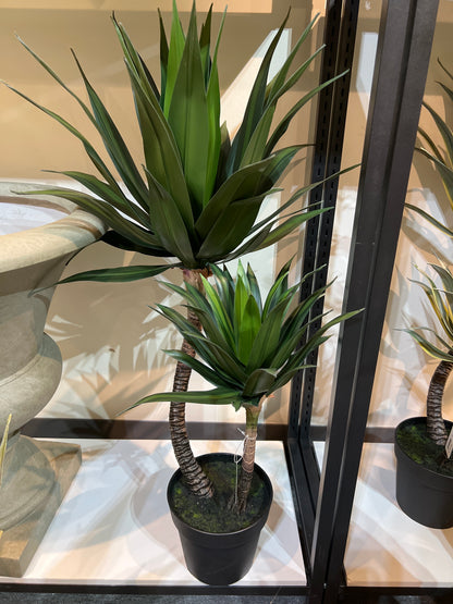 UVT1108 POTTED AGAVE (UV),37"