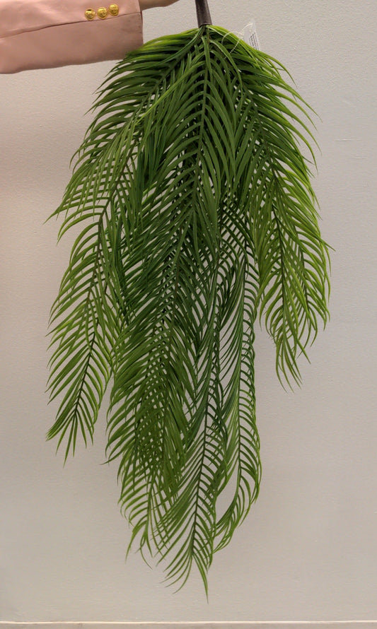 BG10567 CYCAS PALM WEEPING BUSHx11L,44"