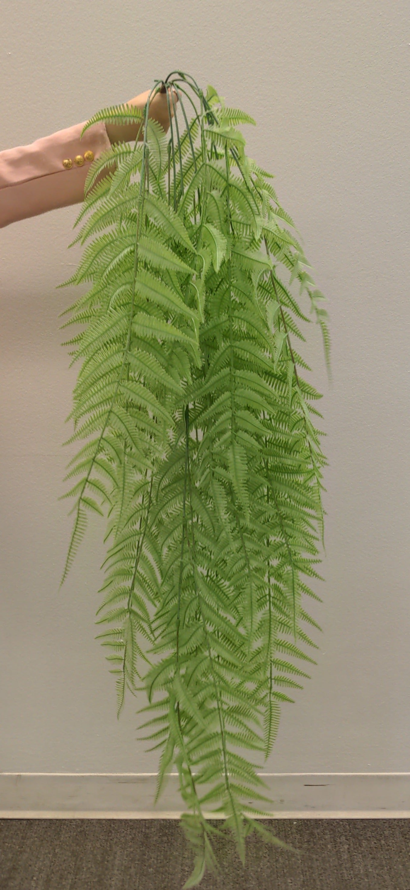 BG10568 WOODWARDIA FERN WEEPING BUSHx7,56"