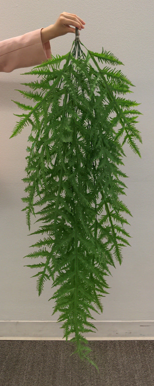 BG10570 FERN WEEPING BUSHx8,51"