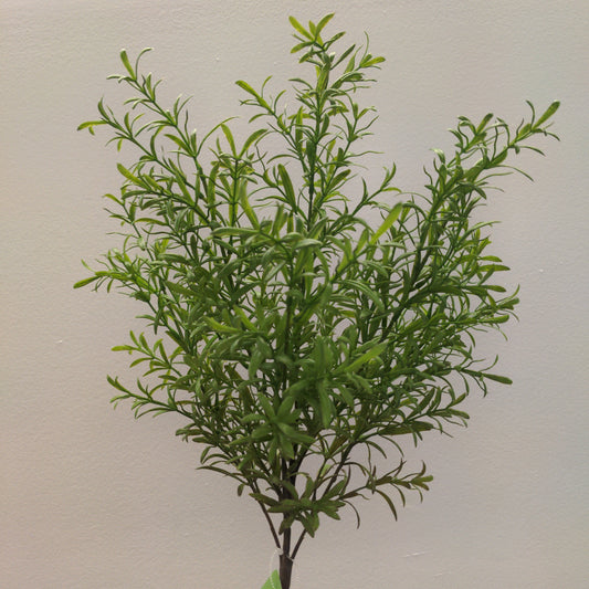 BG10577 ROSEMARY BUSH,24"