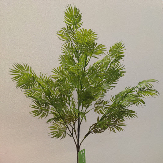 BG10578 FERN BUSH,24"