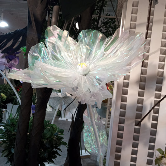 AC10361 GIANT LACE POPPY,6'