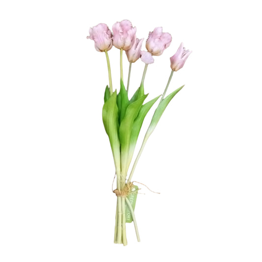 PA10204 TULIP BUNDLEx3F2B,19.5in-12BN/72