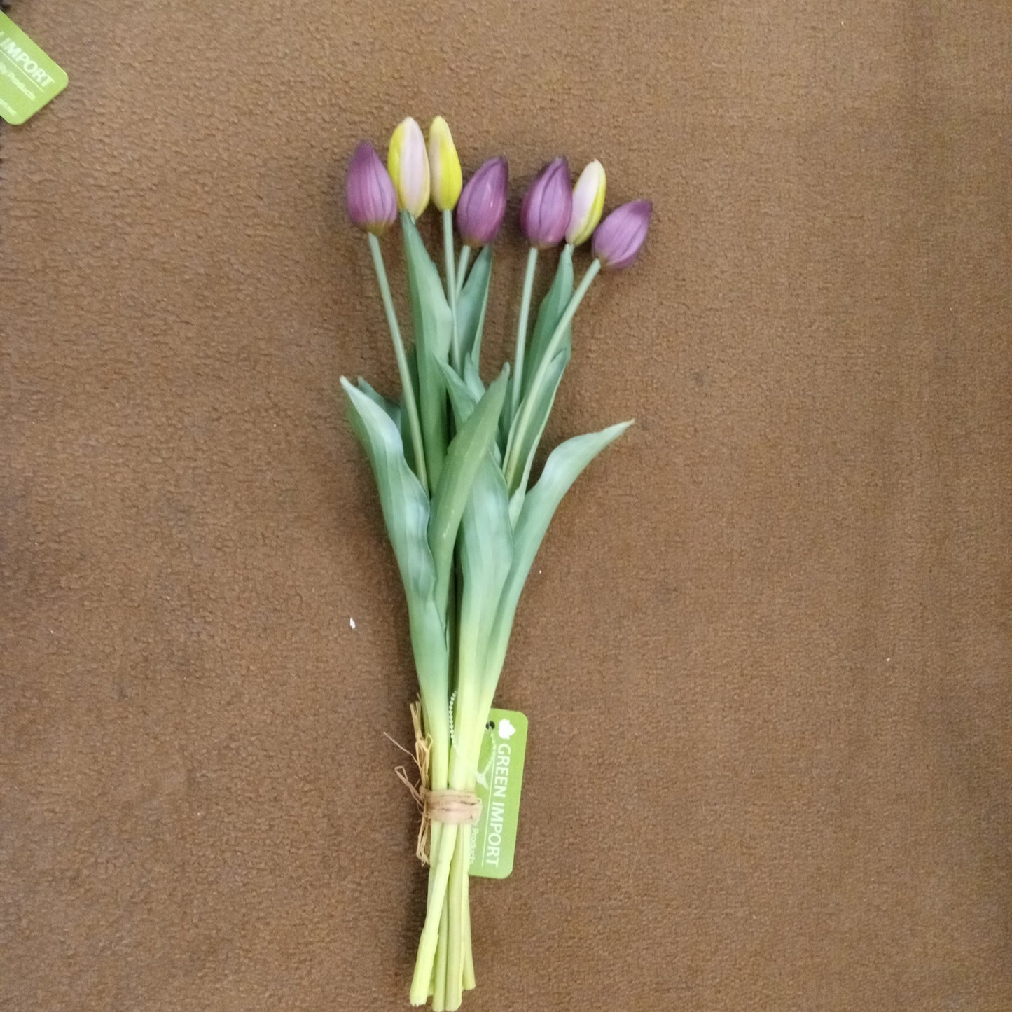 PA10321 TULIP BUD BUNDLEx7, 17"