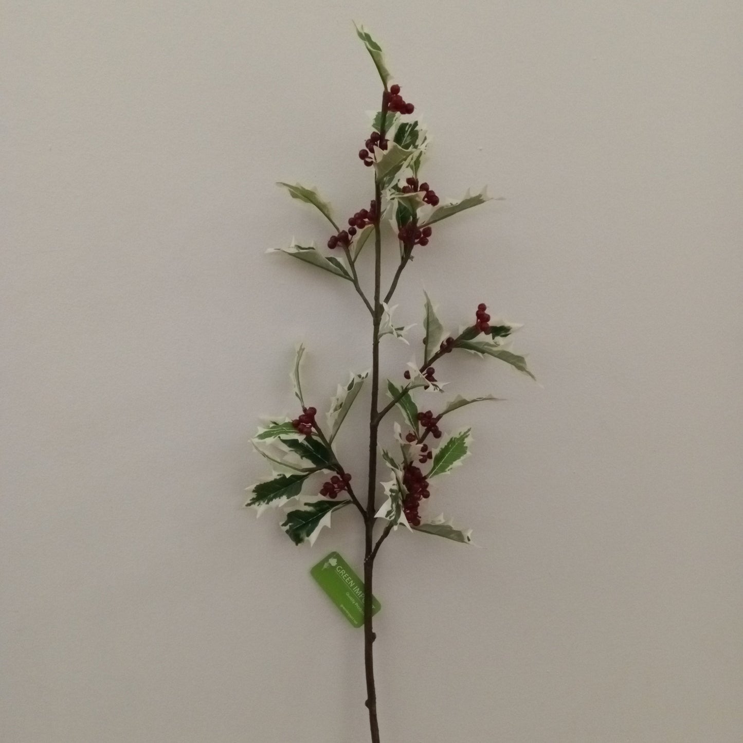 XM11704 HOLLY/BERRY SPRAY,42in-12P/48/6.69'