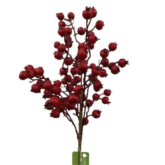 BE10123 ROSEHIP BUSH (WTR-PF),17.5in-12P/60