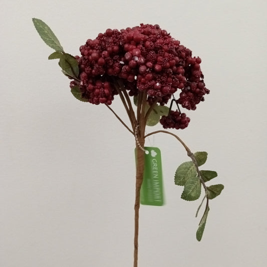 BE10033 BERRY w/LVS SP,25.5in-12P/60/10.78'