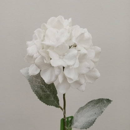 XM12321 HYDRANGEA w/SNOW,26in-24P/288/12'