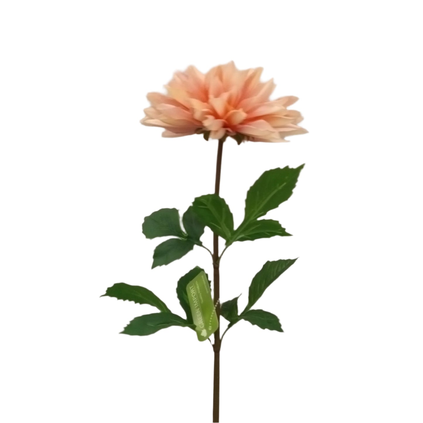 FL13231 DAHLIA SPRAY(NAT), 29"