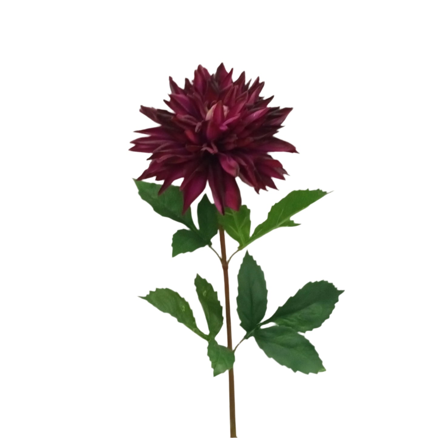 FL13231 DAHLIA SPRAY(NAT), 29"