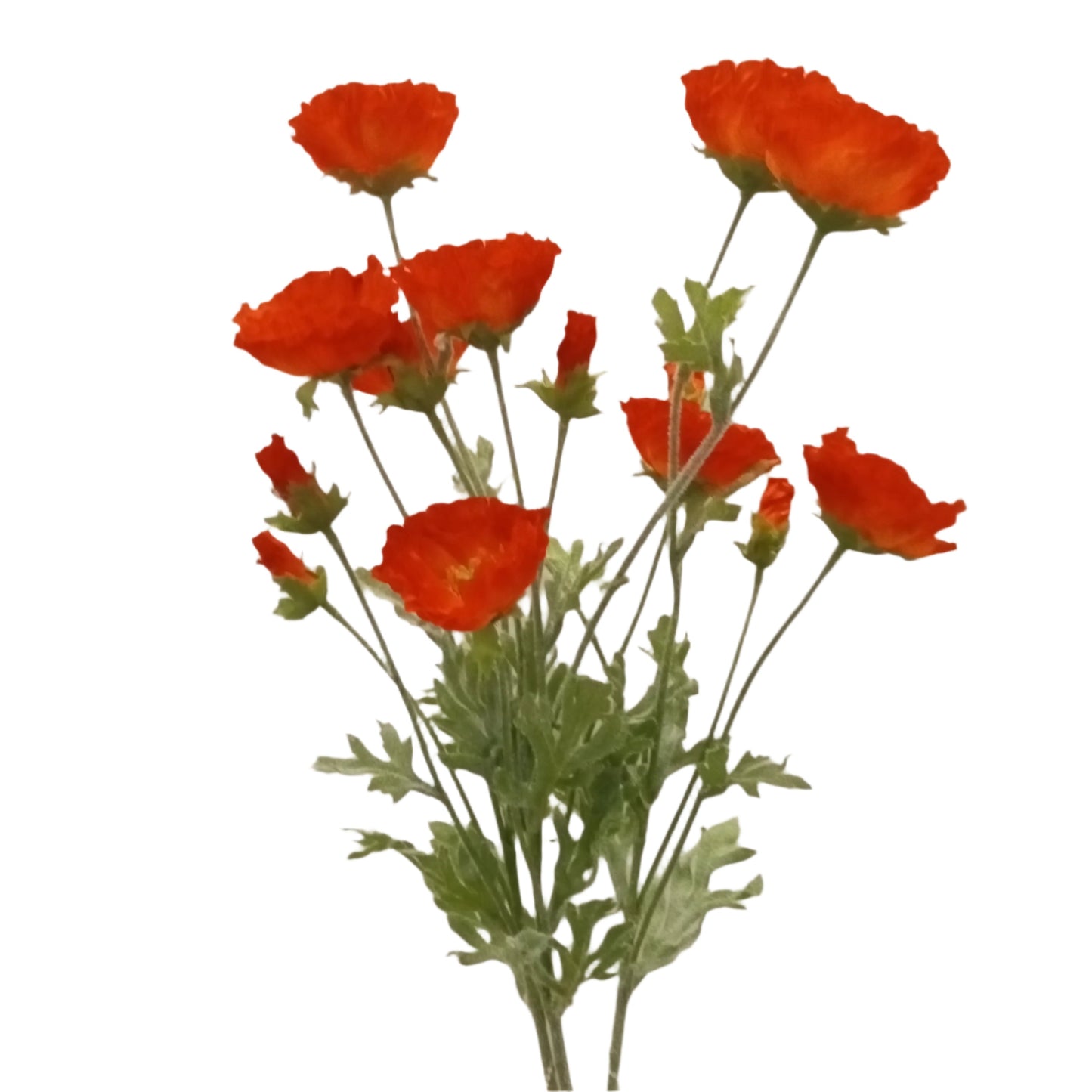 FL13182 MINI POPPY BUSHx3, 20"