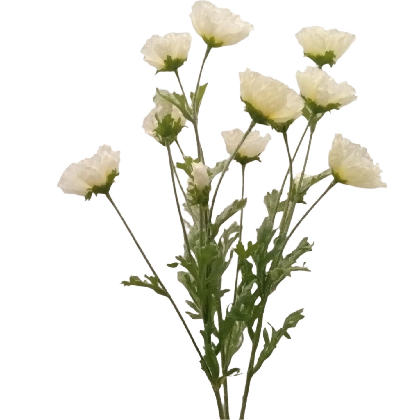 FL13182 MINI POPPY BUSHx3, 20"