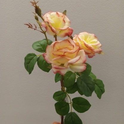 FL11122 ROSE SPRAYx3F,24in-24P/144/7.66'