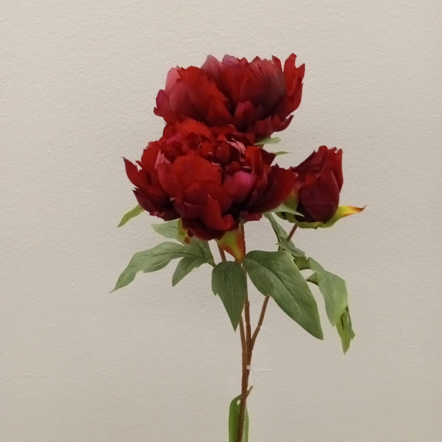 FL11905 PEONY SPRAYx3F,29in-12P/96/9.89'