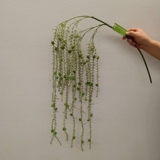 FL11523 WEEPING SUCCULENT SPRAY,54in-12P/72