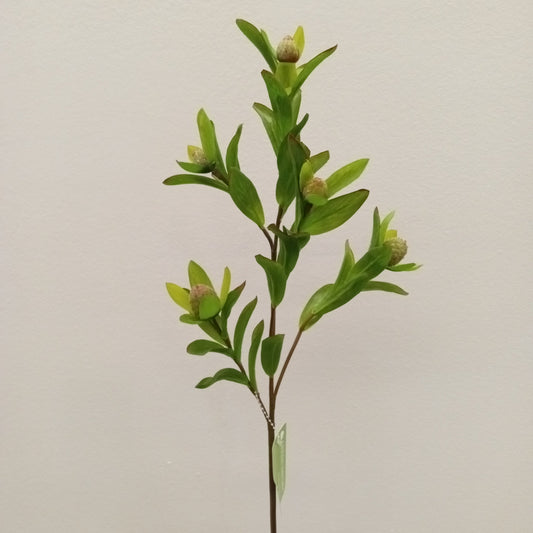 FL11437 PROTEA SPRAYx4,28in-12P/144/6.25'
