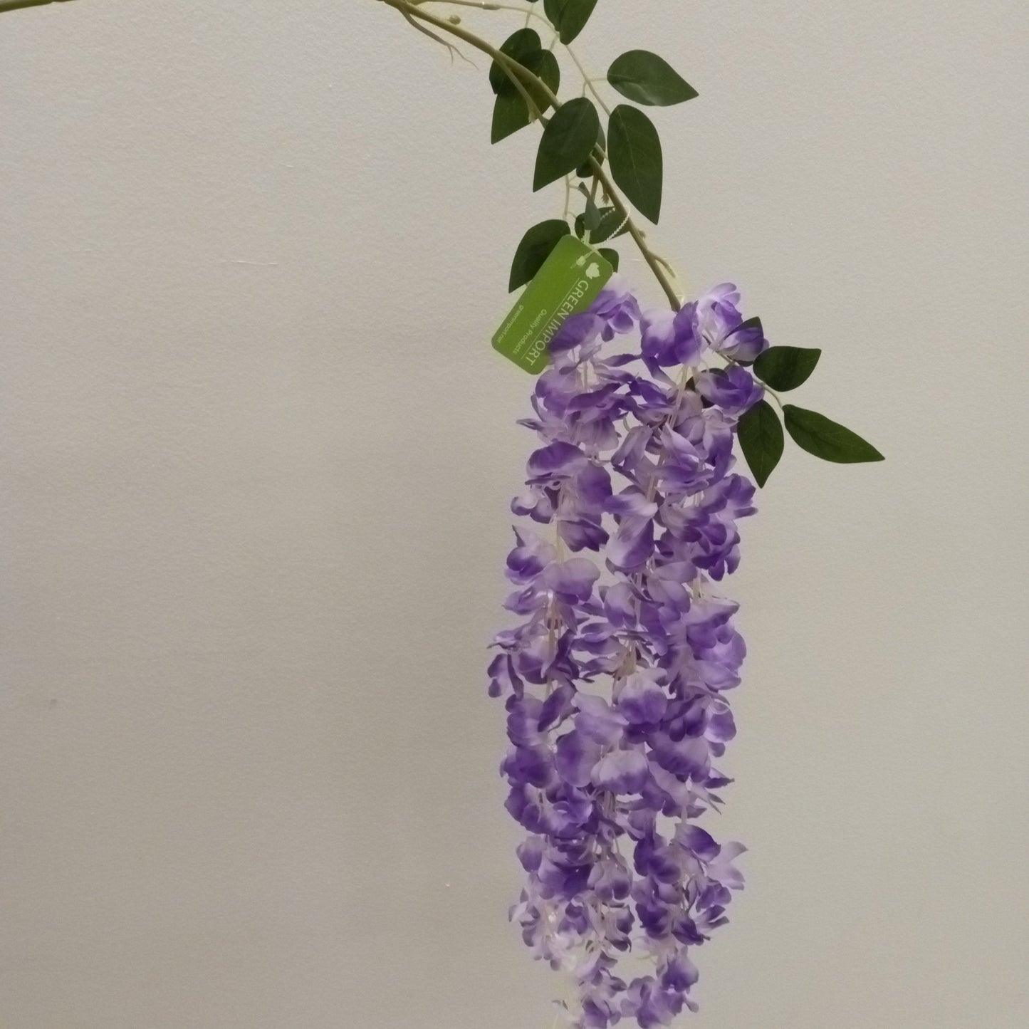 FL11554 WISTERIA SPRAYx3,49in-48P/144/6.62'