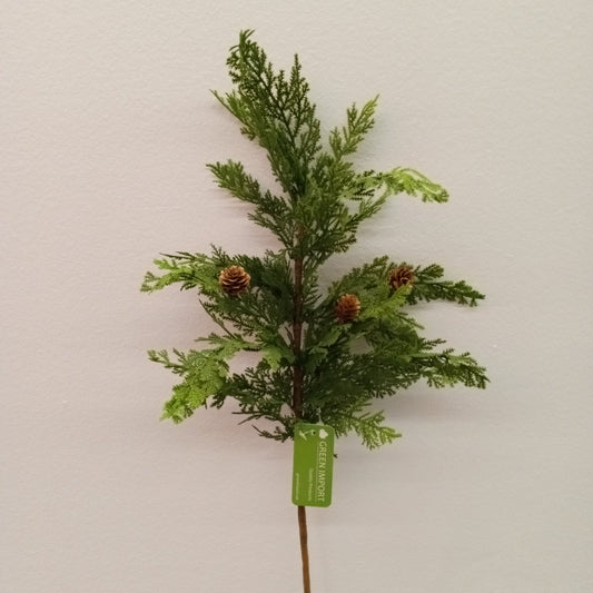 XM13045 CEDAR w/PINECONE SPRAY,30"