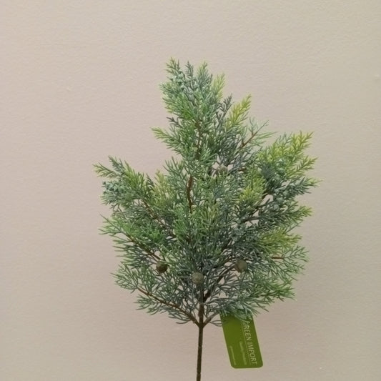 XM12443 CYPRESS SPRAY,21in-12P/120/5.9'