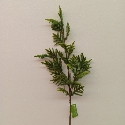 XM12118 NORFOLK PINE SPRAY,39in-12P/72/6.3'
