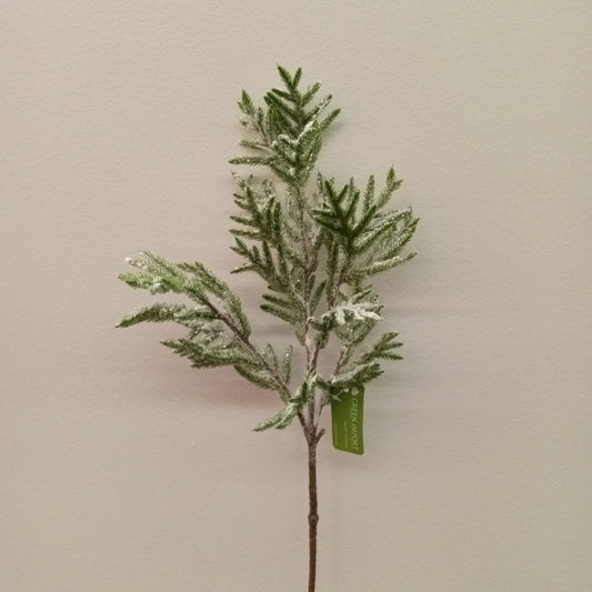 XM12140 NORFOLK PINE SPRAY w/SN,32.5in-12P