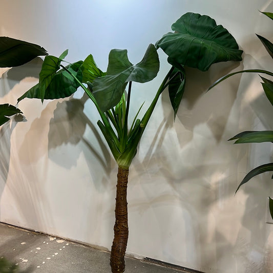 TR10701 PU TARO TREE, 5'