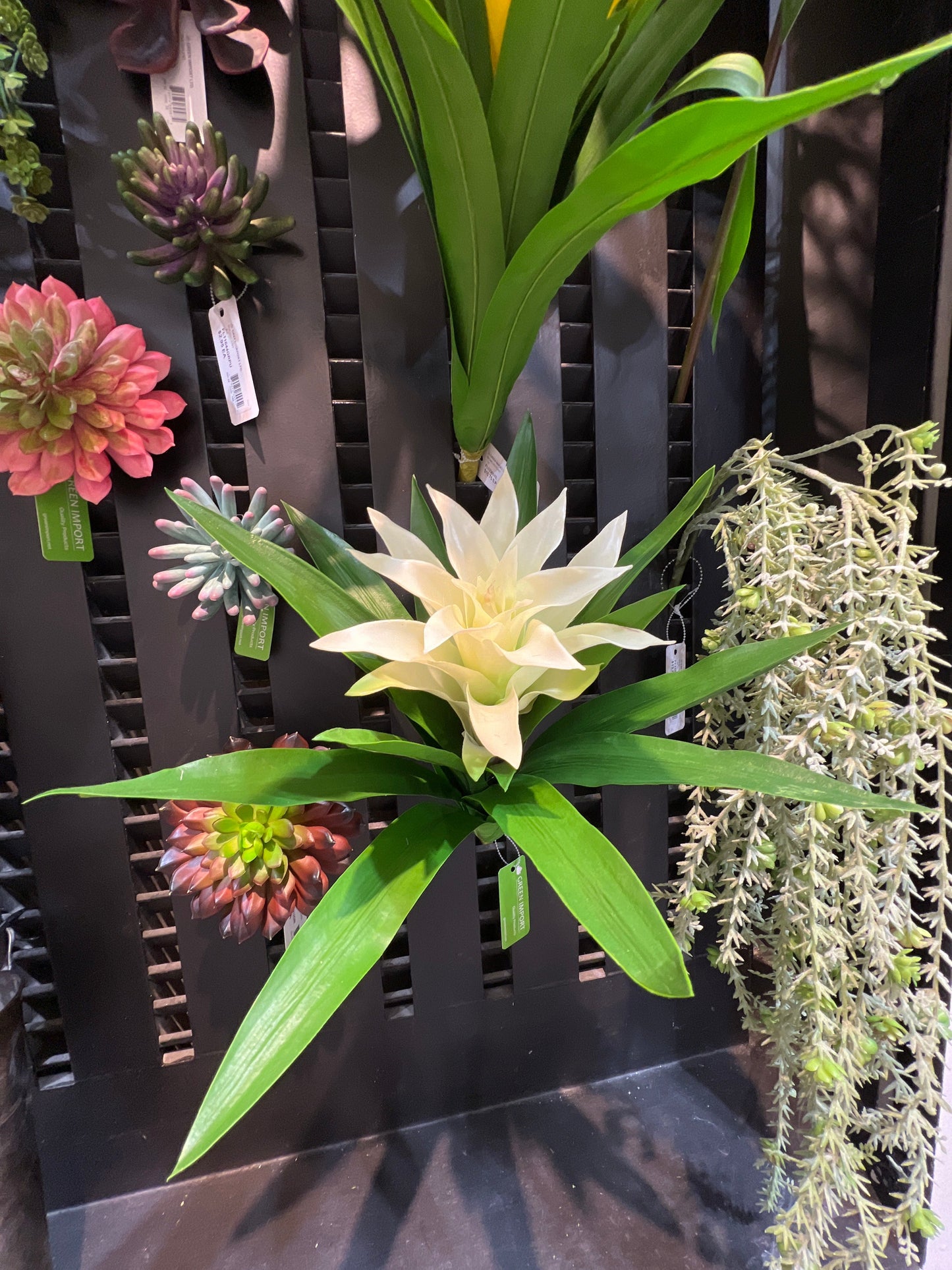 FL13365 BROMELIAD PLANT,20in-12/24P