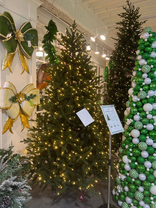 XM30181 CAROLINA FRASER FIR XMAS TREEx2662 TIPS 890 LED D57"x7.5'H