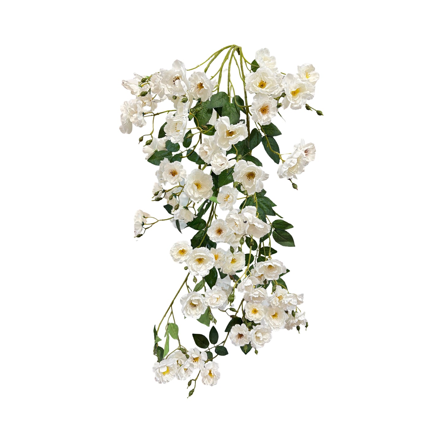 BF10244 CLIMBING ROSE HANGING BUSH,50"