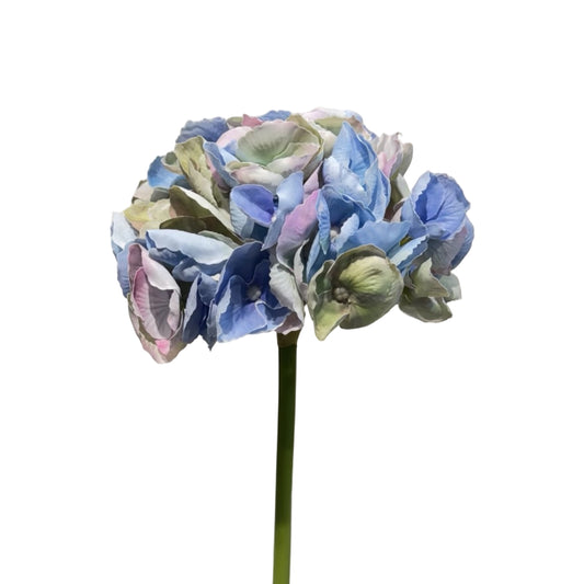 FL13621 HYDRANGEA SP (NAT) 17.5in-12/144P