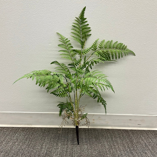 BG10573 LADY FERN BUSHx14,35"