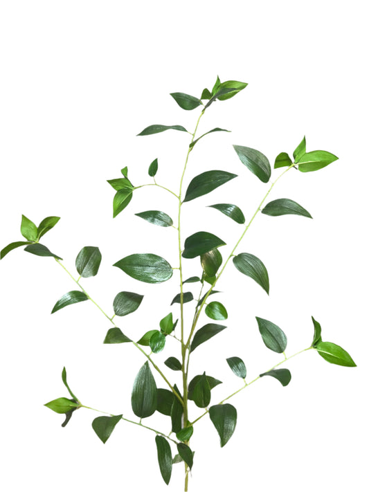 SY11131  SMILAX SPRAY 46"