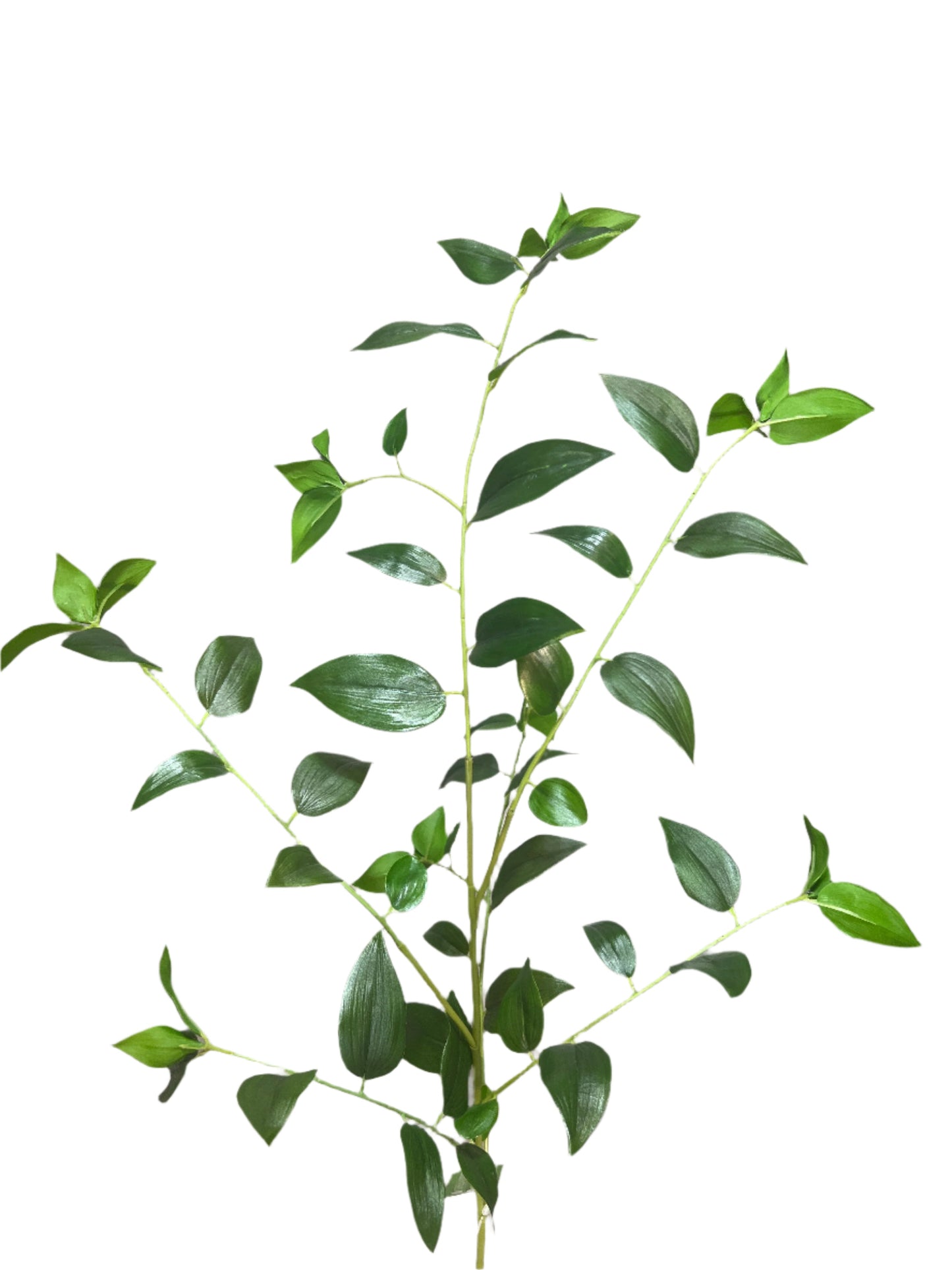 SY11131  SMILAX SPRAY 46"