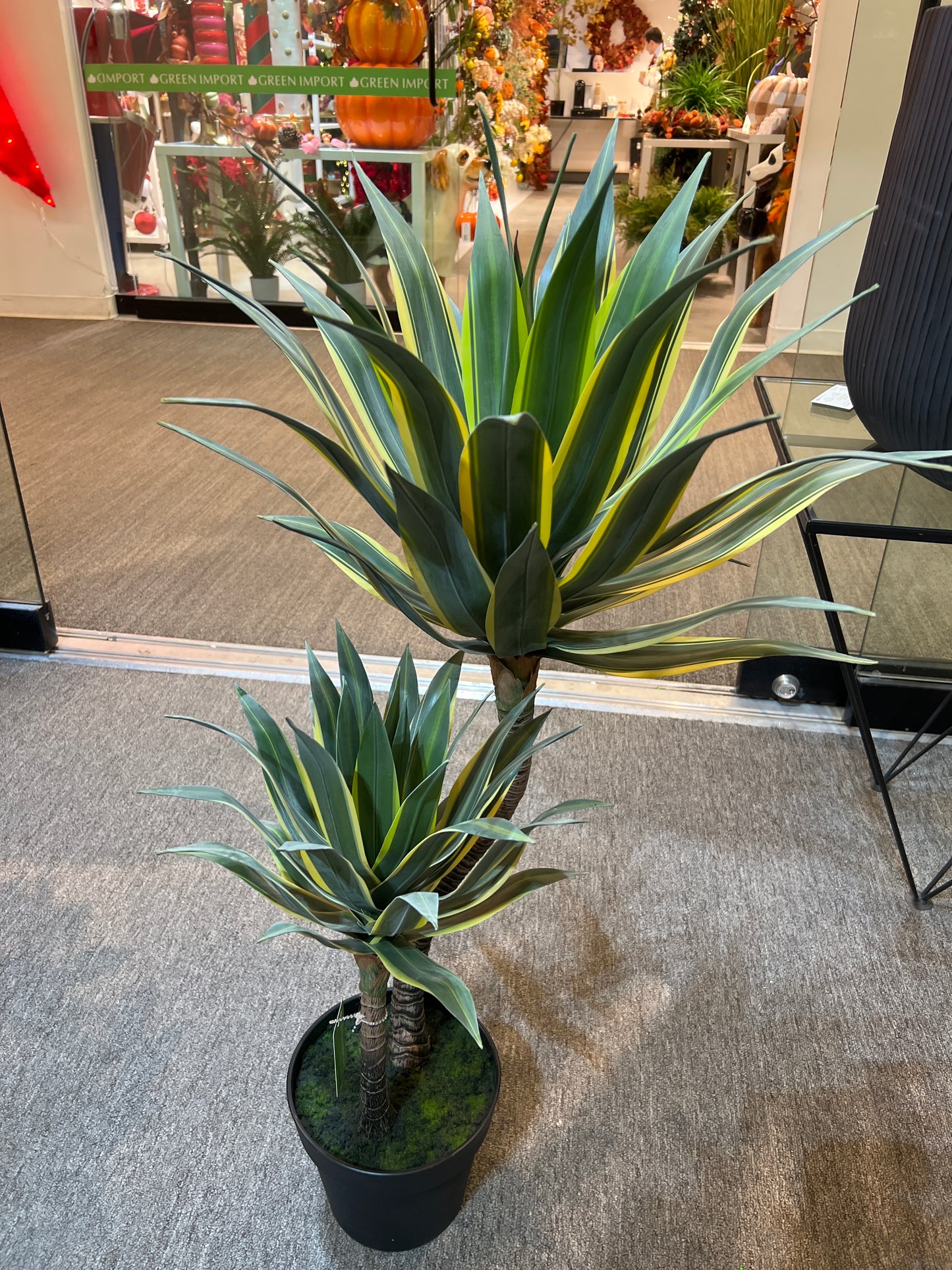 UVT1108 POTTED AGAVE (UV),37"