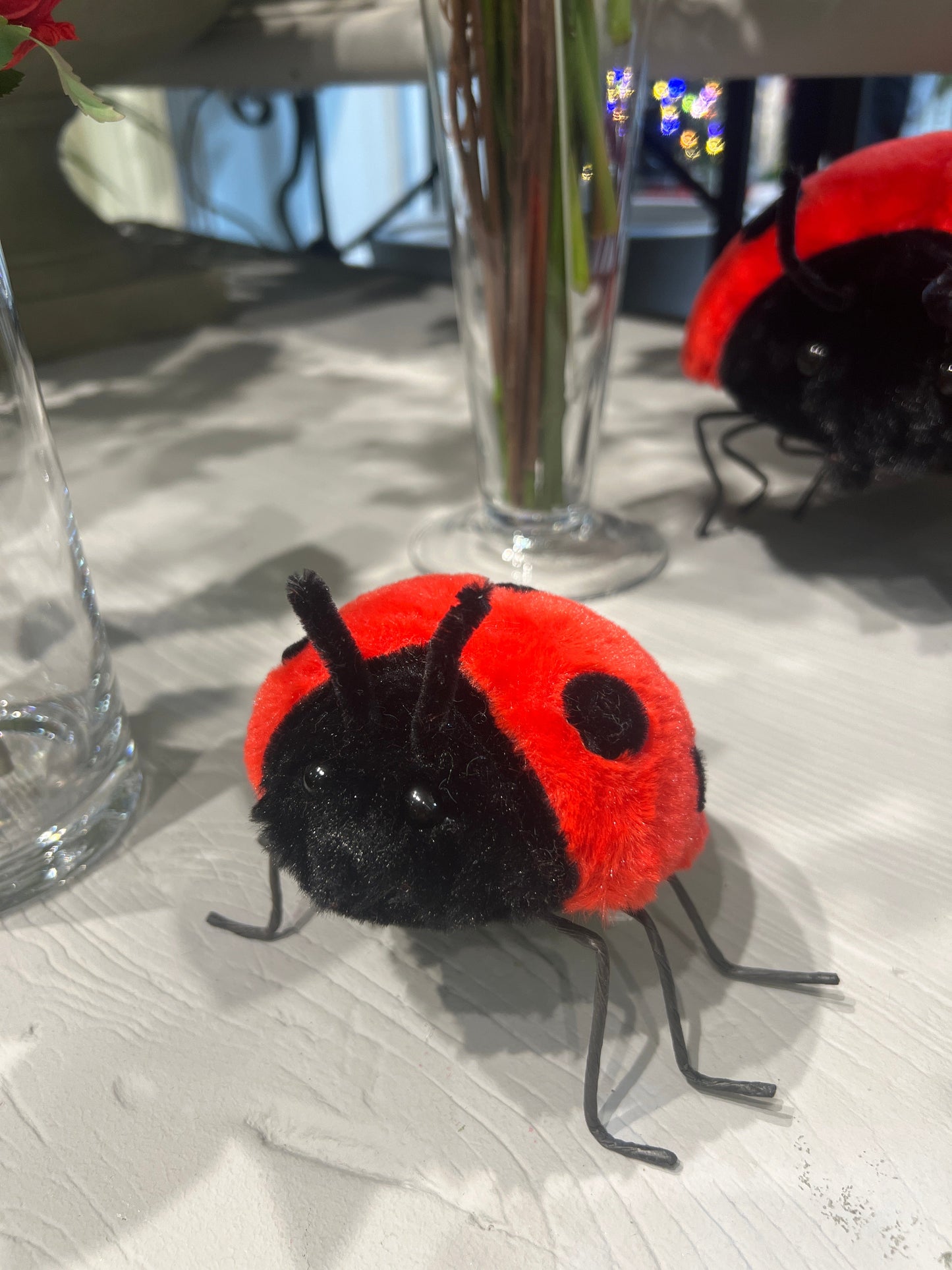 AC10526 LADYBUG D6in