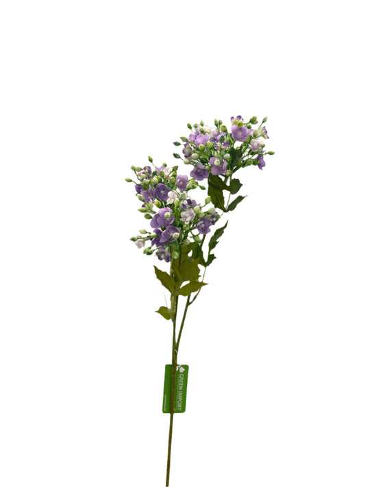 FL13514 STEPHANOTIS SPRAYx3 32"