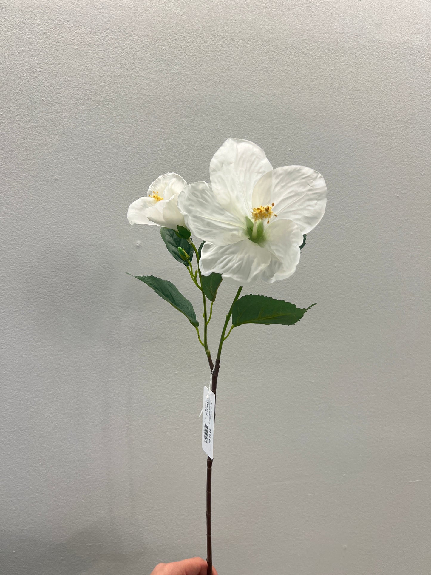 FL13615 HIBISCUS SPRAYx1F1B 26.5"