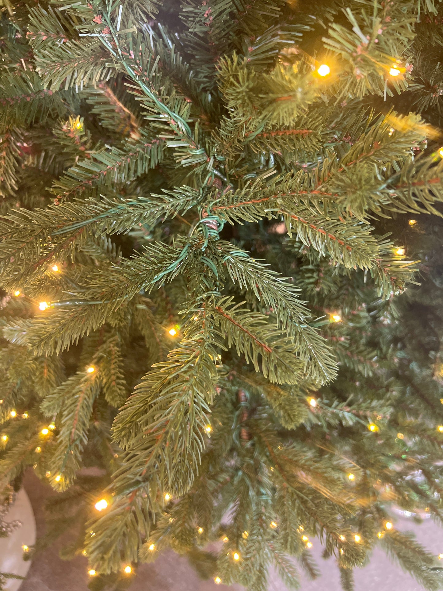XM30181 CAROLINA FRASER FIR XMAS TREEx2662 TIPS 890 LED D57"x7.5'H