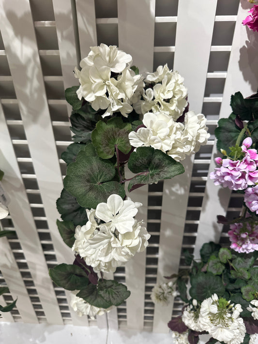 BF10203 GERANIUM HANGING BUSH,22in-6P