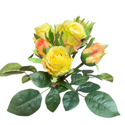 PA10417 ROSE BQTx9 12"