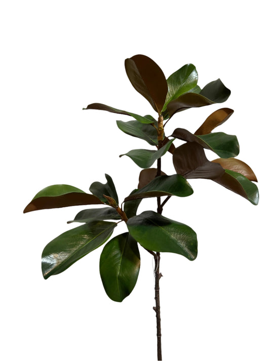 FL13353 MAGNOLIA LEAF SPRAY,41in-12/60P