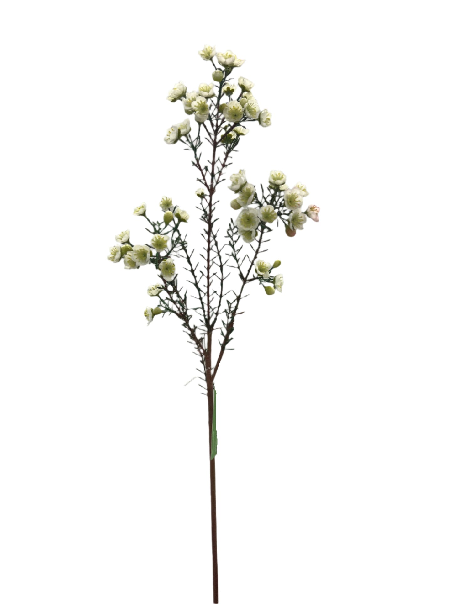 FL13555  WAX FLOWER SPRAY 31"