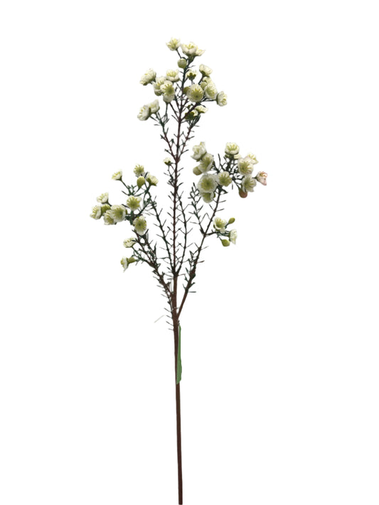 FL13555  WAX FLOWER SPRAY 31"