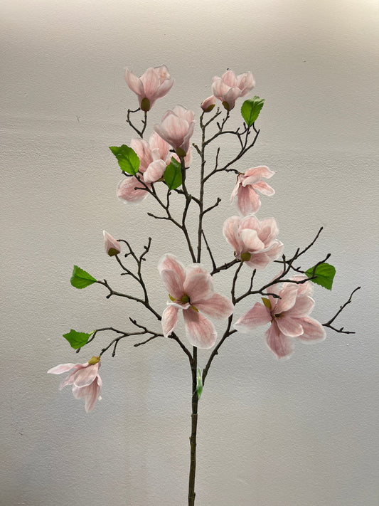 FL13529 MAGNOLIA SPRAY 48"