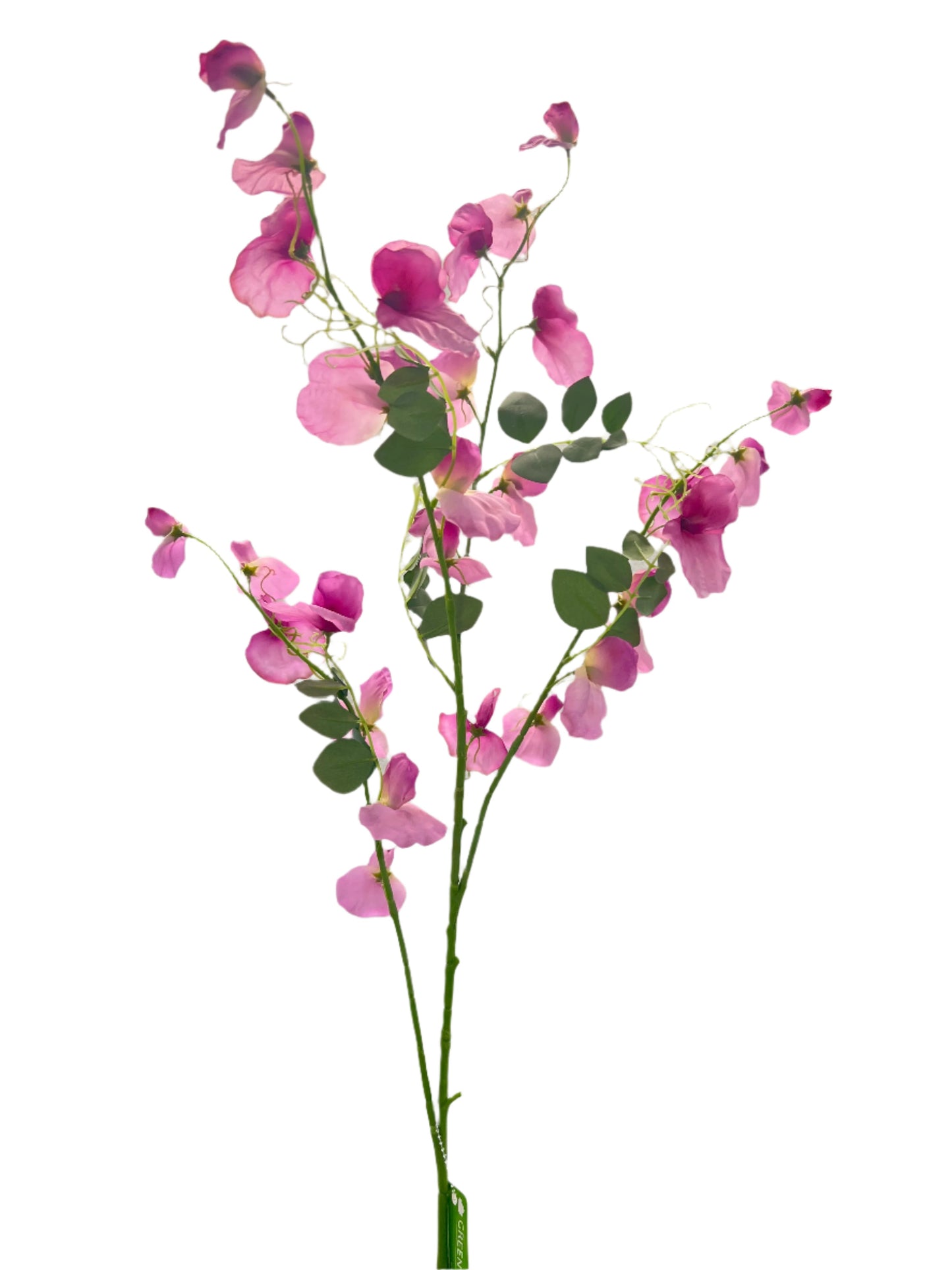 FL13512 SWEET PEA SPRAYx5 55"
