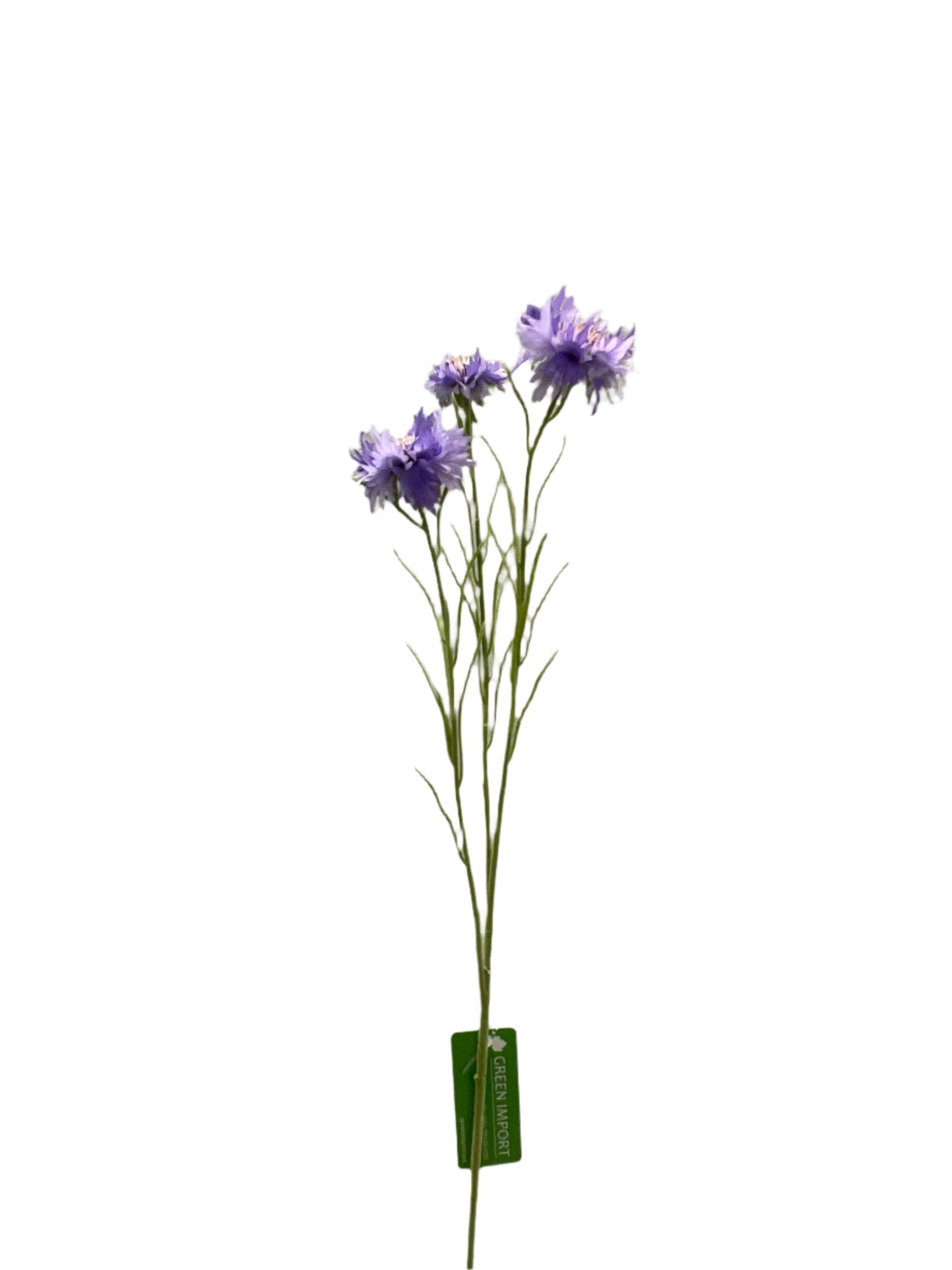 FL13534 CORN FLOWER SPRAYx3F 28"